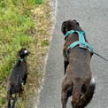 IMG_1758.jpeg