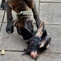 IMG_2942.jpeg