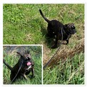 IMG_5135.jpeg