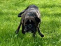 IMG_5240.jpeg