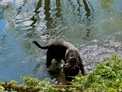 IMG_5246.jpeg