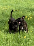 IMG_5254.jpeg