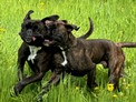 IMG_5256.jpeg