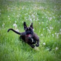IMG_5485.jpeg