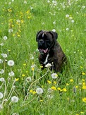 IMG_5489.jpeg