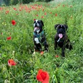 IMG_5842.jpeg