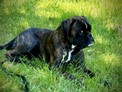IMG_5873.jpeg