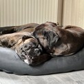 IMG_5963.jpeg