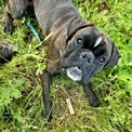IMG_5965.jpeg