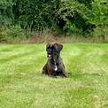 IMG_5973.jpeg