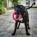 IMG_6179.jpeg