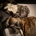 IMG_1220.jpeg