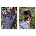 IMG_1377.jpeg