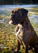 IMG_1423.jpeg