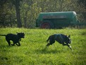 IMG_7658.jpeg