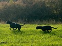 IMG_7663.jpeg