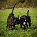 IMG_7672.jpeg