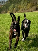 IMG_7677.jpeg