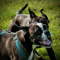 IMG_7685.jpeg