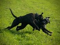 IMG_7691.jpeg