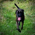 IMG_7711.jpeg