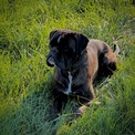 IMG_7813.jpeg