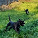 IMG_7821.jpeg