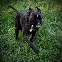 IMG_7831.jpeg
