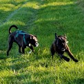 IMG_7844.jpeg