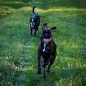 IMG_7849.jpeg