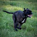 IMG_7853.jpeg