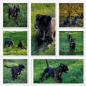 IMG_7858.jpeg
