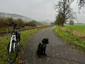 IMG_7921.jpeg