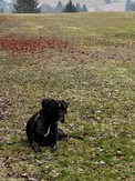 IMG_8374.jpeg