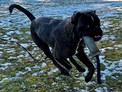 IMG_8805.jpeg